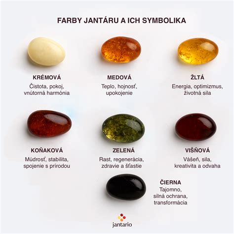 Rôzne farby ruží a ich symbolika