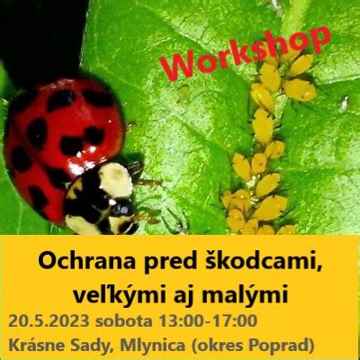 Ochrana melónov pred škodcami