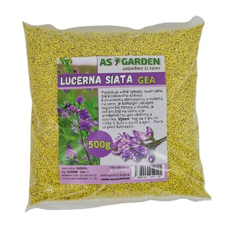Lucerna siata v kvitnúcom poli