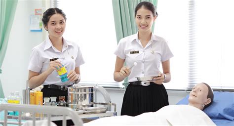 Rozdelenie trsu Veroniky