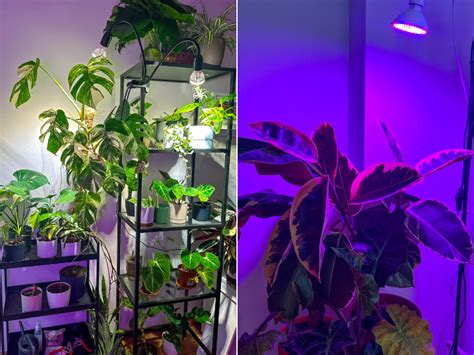 Rôzne typy LED osvetlenia pre rastliny