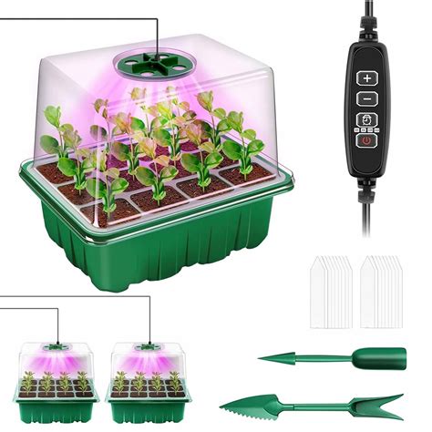 Porovnanie rastu rastlín s a bez LED osvetlenia