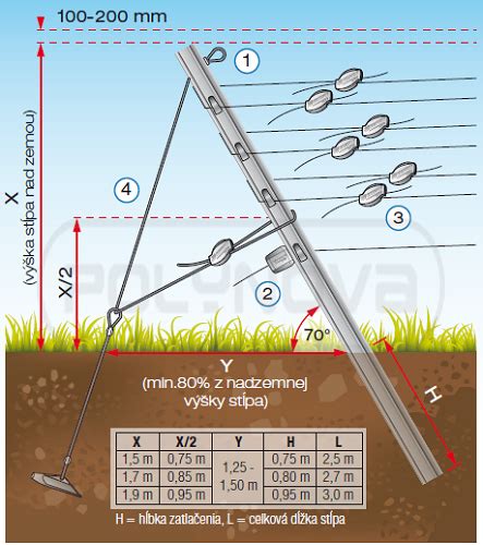 Ilustrácia ideálneho stanovišťa pre vinič