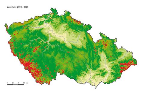 Mapa rozšírenia rysa ostrovida v Európe