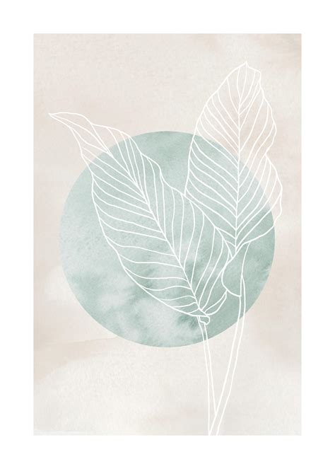 Ilustrácia spálených listov lopatkovca