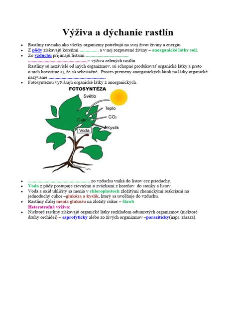 Schéma výživy rastliny