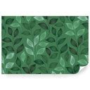 Ilustrácia správneho presádzania rastliny