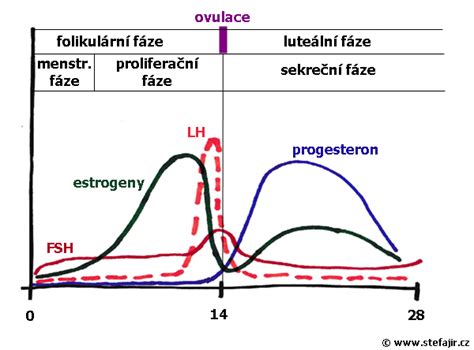 Schéma cyklu vzťahu s narcistom