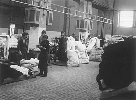 História pestovania bavlny a jej spracovania