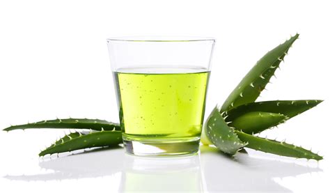 Schéma účinkov Aloe Vera na organizmus