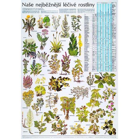 Schéma nárokov rastliny na prostredie