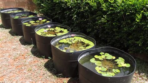 Nádoba na pestovanie lekna