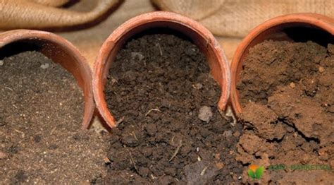 Príprava pôdy pre výsadbu