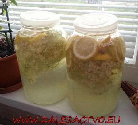 Domáca bazová limonáda