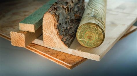 Rôzne druhy bršlenu