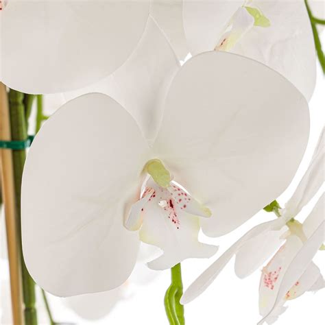 luxusná umelá orchidea s LED osvetlením v sklenenej nádobe