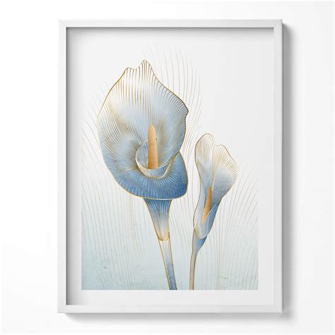 Ilustrácia rôznych cibuľových kvetov