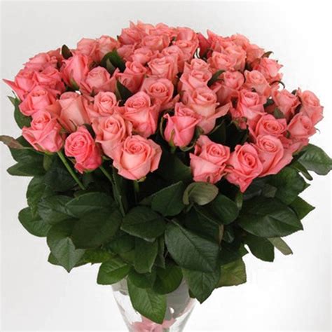 Krásna kytica ružových ruží