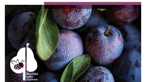 Rôzne odrody sliviek na trhu