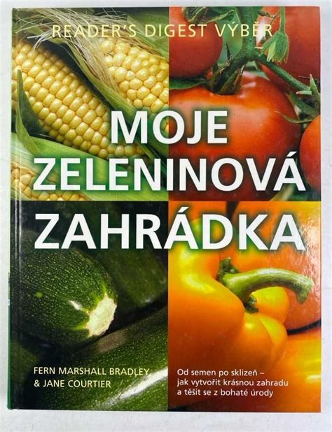 Zrelé hlavy slnečníc pripravené na zber semien