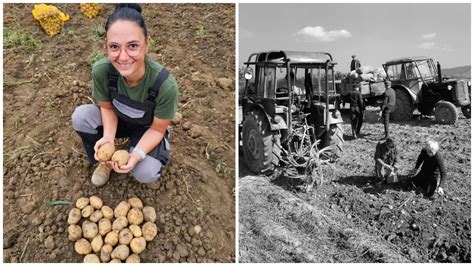 Ilustračná fotografia záhradníctva