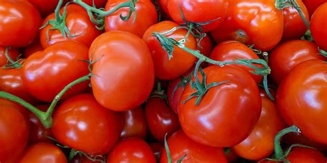 Ilustrácia rôznych druhov ľanu a ich využitia