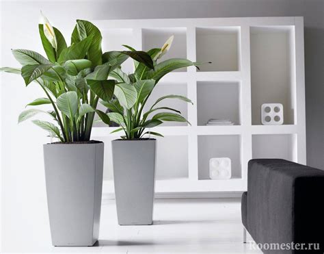 Schematické znázornenie umiestnenia kvetináča v interiéri