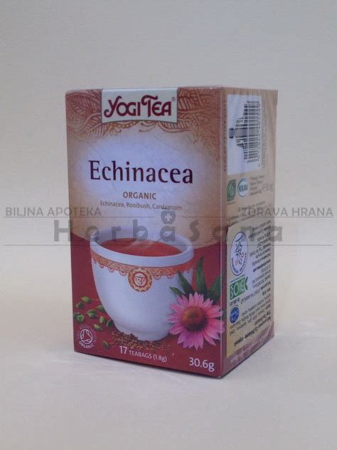 Echinacea čaj
