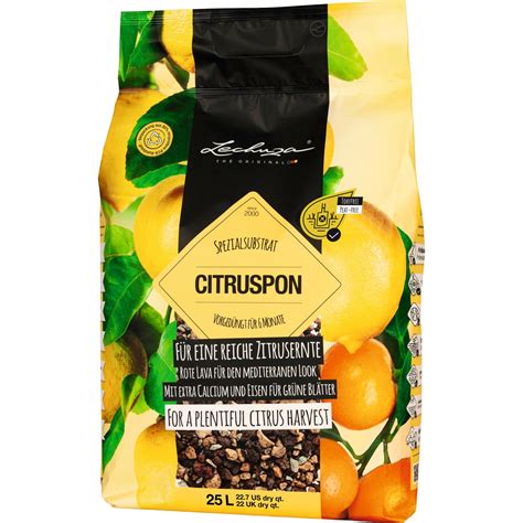 Prierez kvetináča s drenážou a substrátom pre citrusy