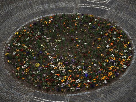 Štruktúra kartónového kruhu pre sedmokrásku