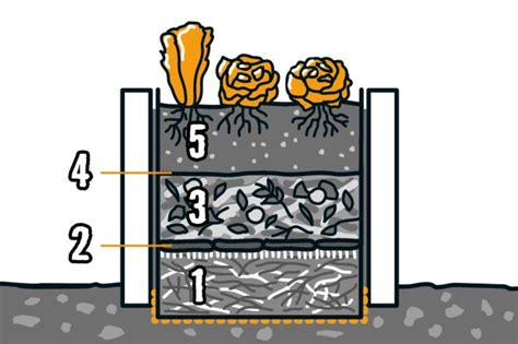 Ilustrácia growboxu s rastlinami