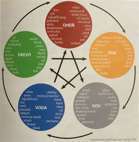 Pentagram vyobrazujúci 5 prírodných elementov, ilustrácia.