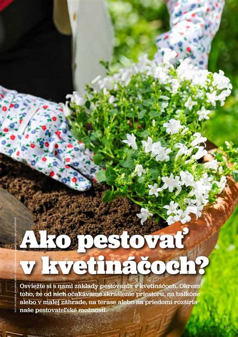 Balkón plný jahôd v závesných kvetináčoch