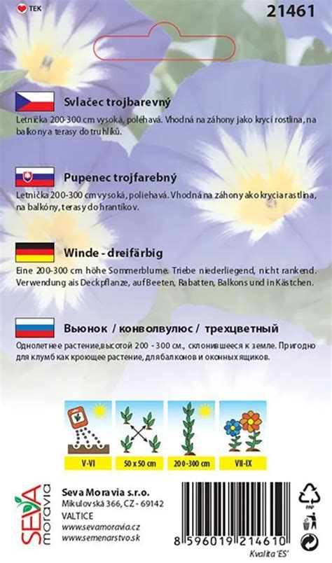 Detail kvetu Katananky belasej s tmavým stredom