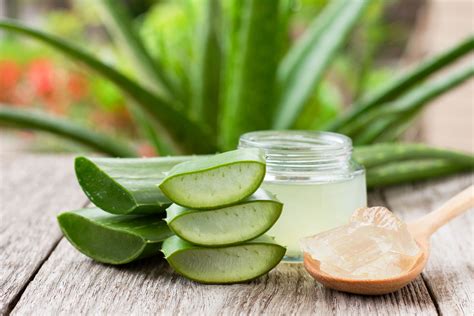 Aplikácia aloe vera gélu na pokožku hlavy