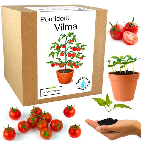 Krabicová sada na pestovanie šampiňónov