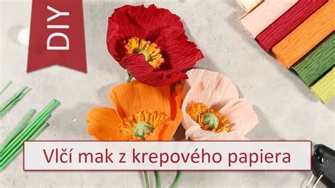 Hotové suché kvety z ryžového papiera