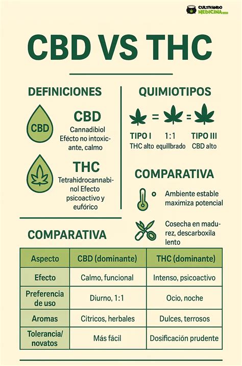 CBD kvet vs. THC kvet