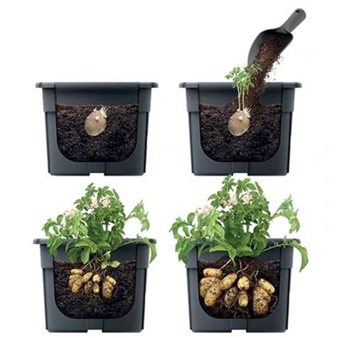 Schéma zostavenia dreveného boxu na pestovanie zemiakov