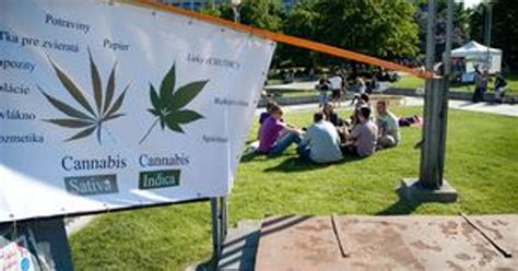 Ilustrácia dekriminalizácie vs. legalizácie marihuany