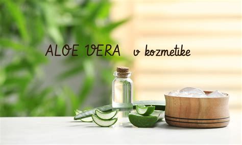 Infografika: Aloe vera pre krásnu pleť a vlasy