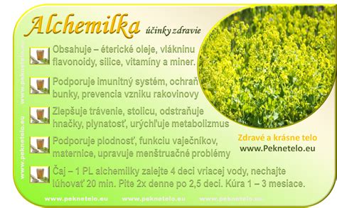 Infografika zhrňujúca liečivé účinky a upozornenia pri užívaní alchemilky