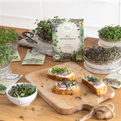 Ilustrácia rôznych druhov klíčkov a microgreens
