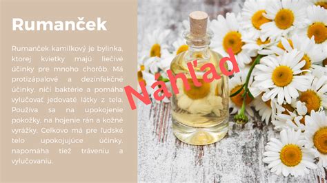Infografika: Liečivé účinky rumančeka