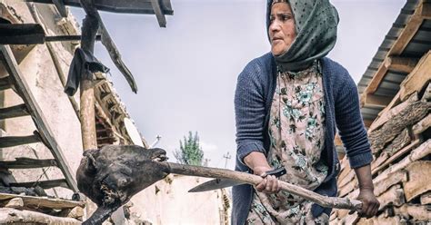 Detailná fotografia hlavy vážky s očami a ústnym ústrojenstvom