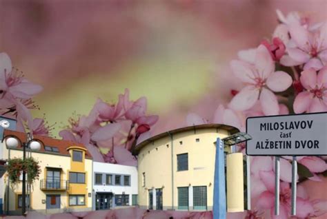 Obal knihy Alžbetin dvor