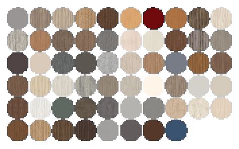 Farebná paleta kvetov aksamietnice