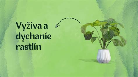 Schéma prezimovania rastlín v nádobách