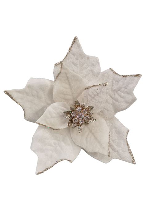 Biela vianočná ruža s trblietavými listami a zlatým stredom