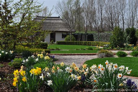 Rôzne druhy narcisov